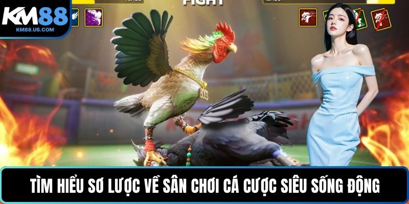 Tìm hiểu sơ lược về sân chơi cá cược siêu sống động